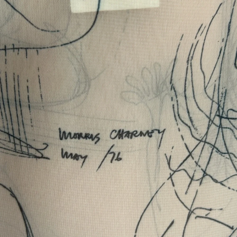 American Apparel | Womens Chiffon Morris Charney 1976 Sketch Cami Tank - Size M - Picture 7 of 9